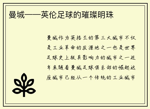 曼城——英伦足球的璀璨明珠